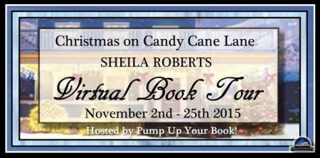 Christmas on Candy Cane Lane Tour Banner